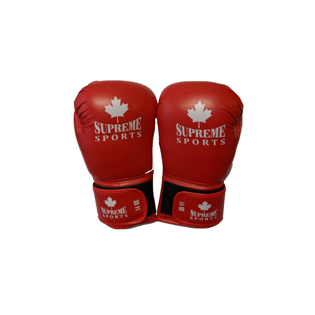 14 oz online leather boxing gloves